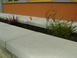 DSC02774.JPG